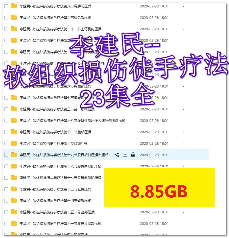 李建民华人一手软组织损伤徒手疗法视频教程
