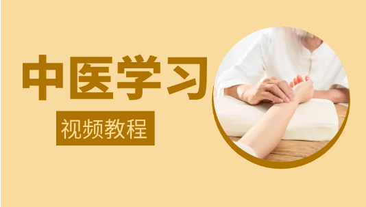 中医学习--中医免费自学网