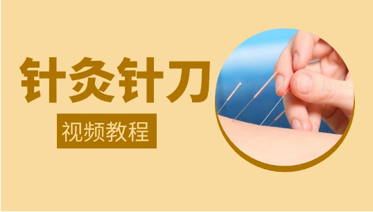 针灸针刀--中医免费自学网