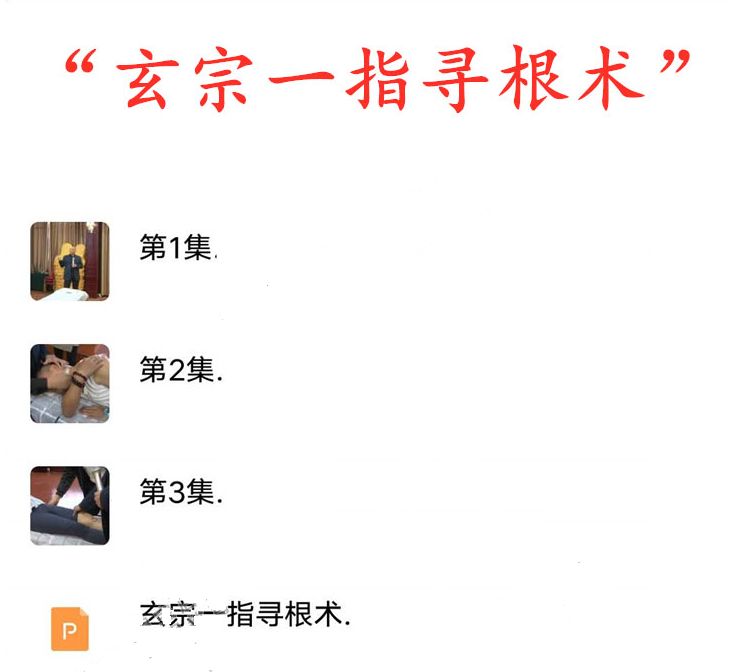 图片[2]-宋瑞道家玄宗一指寻根术中医视频教程