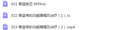 图片[3]-朱国苗骨盆解剖与矫正23节产后修复中医视频教程