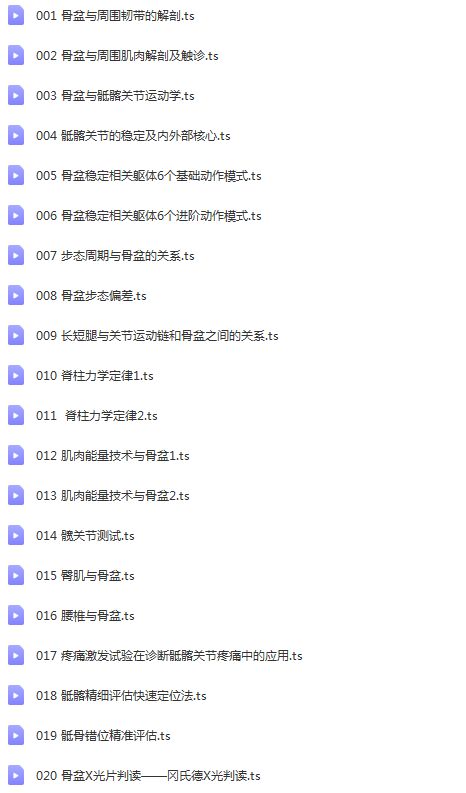 图片[2]-朱国苗骨盆解剖与矫正23节产后修复中医视频教程