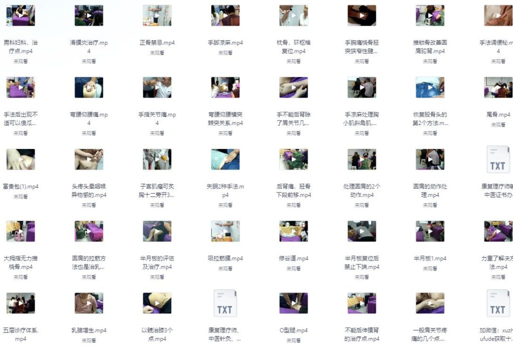 图片[2]-温普成空间力学柔性正骨视频教程