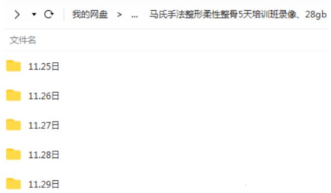 图片[2]-马氏徒手整形柔性整骨5天培训班视频教程