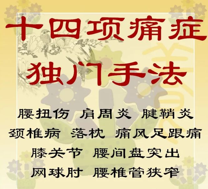 十四项痛症独门手法高清视频教程-中医免费自学网