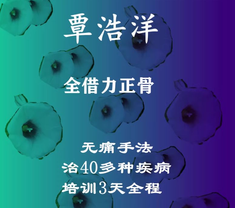 覃浩洋全借力正骨术治疗40多种疾病3天培训视频教程-中医免费自学网