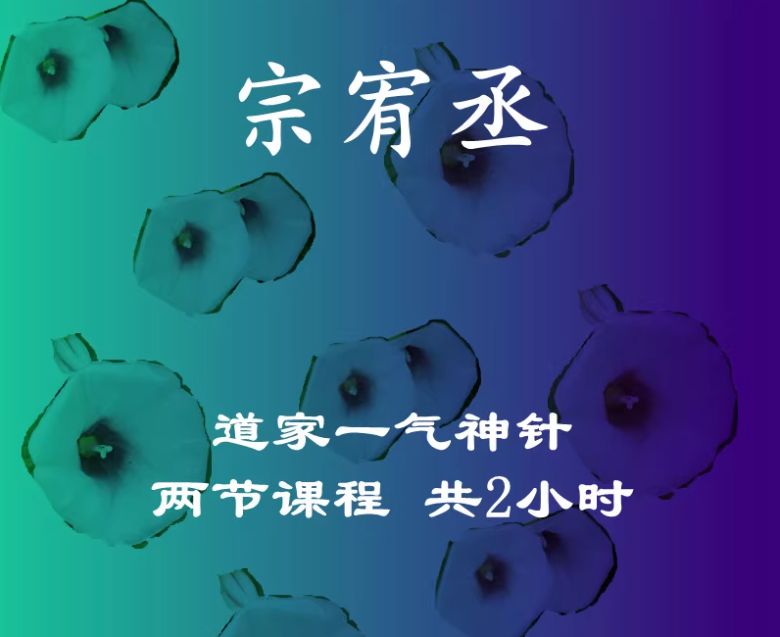 宗宥丞道家一气神针点穴手法中医视频教程-中医免费自学网