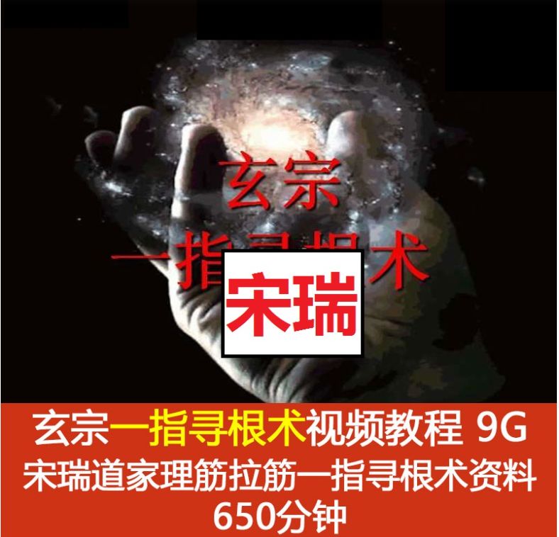  宋瑞道家玄宗一指寻根术中医视频教程-中医免费自学网