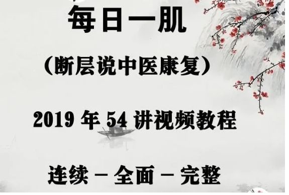  断层说中医康复-段佳强《每日一肌》54讲高清视频教程-中医免费自学网