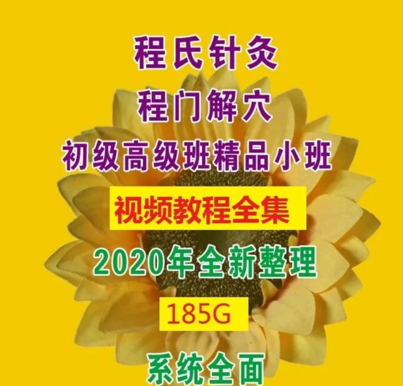  程氏针灸程门解穴精品小班中医视频教程-中医免费自学网