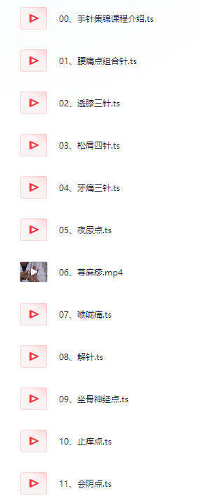 图片[2]- 段文军手针疗法一病一讲高清针灸视频教程