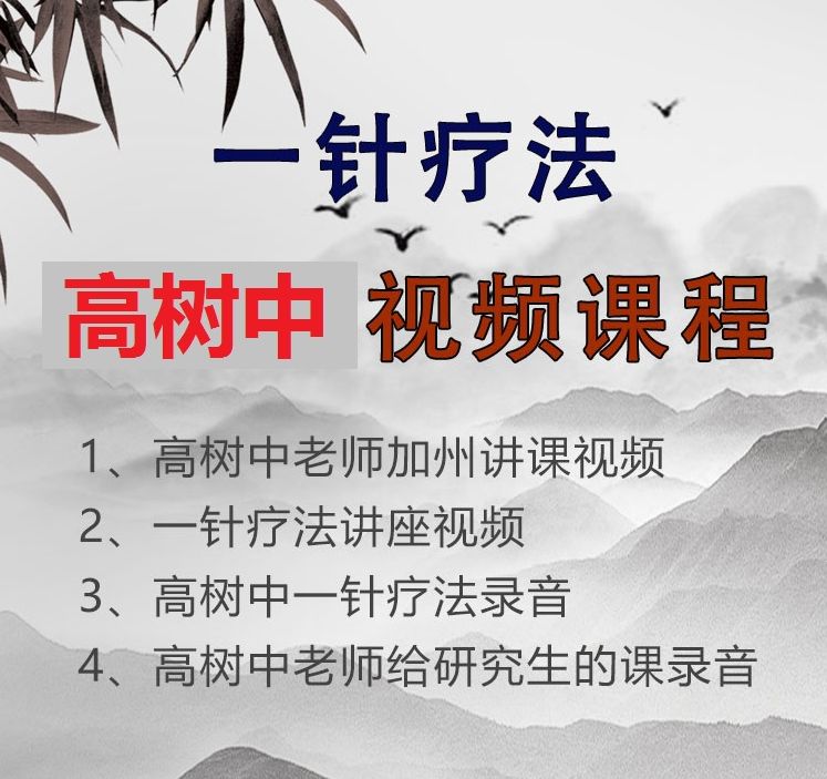 高树中一针疗法视频教程全集-中医免费自学网